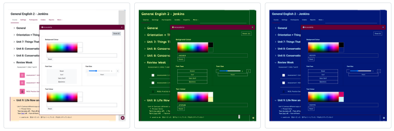 Accessibility Plugin Screenshots